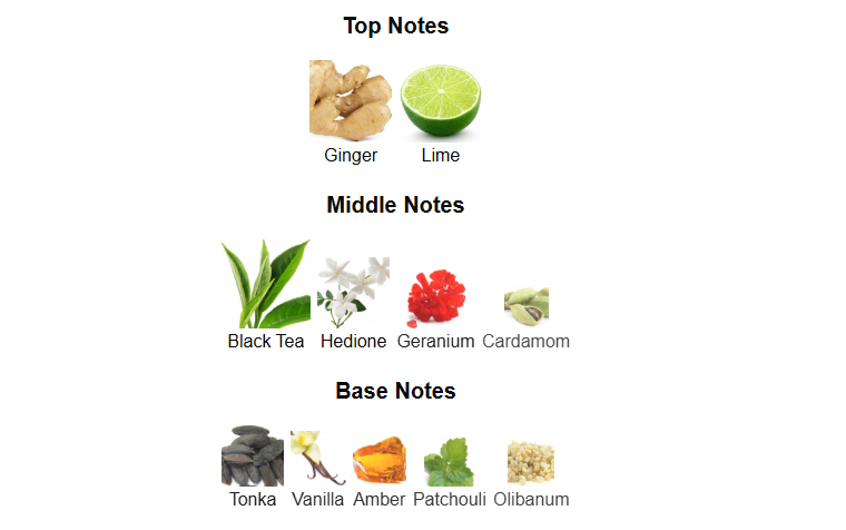 Teas Me Aromatix by French Avenue – 1ml Sample Decant