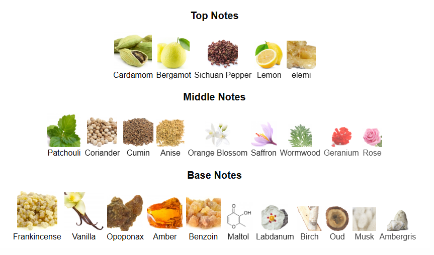 Terra by Rayhaan – 1ml Sample Decant