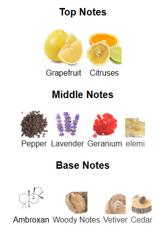 Odyssey Tyrant By Armaf – 1ml Sample Decant