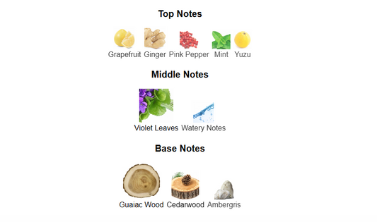 Dubai Nights Umbra by Armaf – 1ml Sample Decant