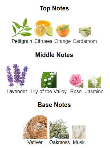 Venetian By Armaf – 1ml Sample Decant