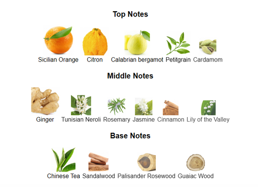 Ventana Marine by Armaf - 1ml Sample Decant