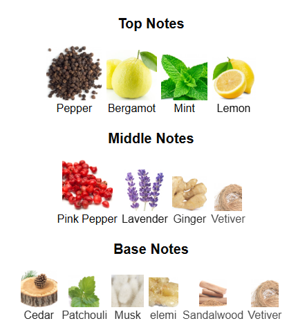 Odyssey Wild One Gold Edition By Armaf – 1ml Sample Decant